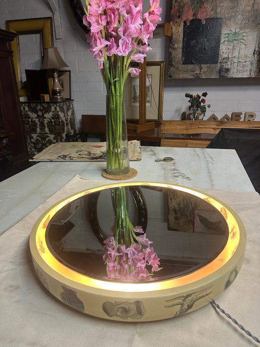 1960s Italian Backlit Wall Mirror with Shell Motif by Fornasetti