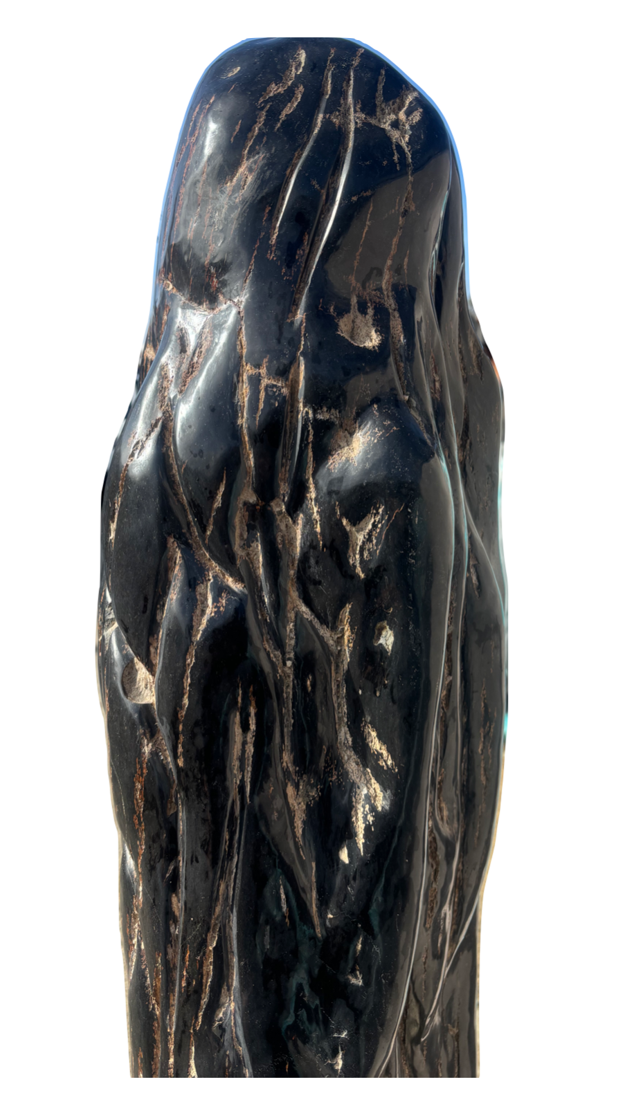 Sculpture of Petrified Wood