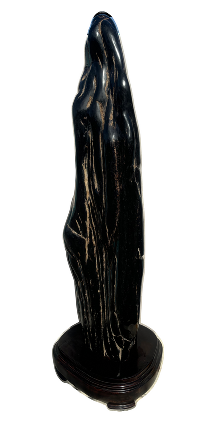 Sculpture of Petrified Wood