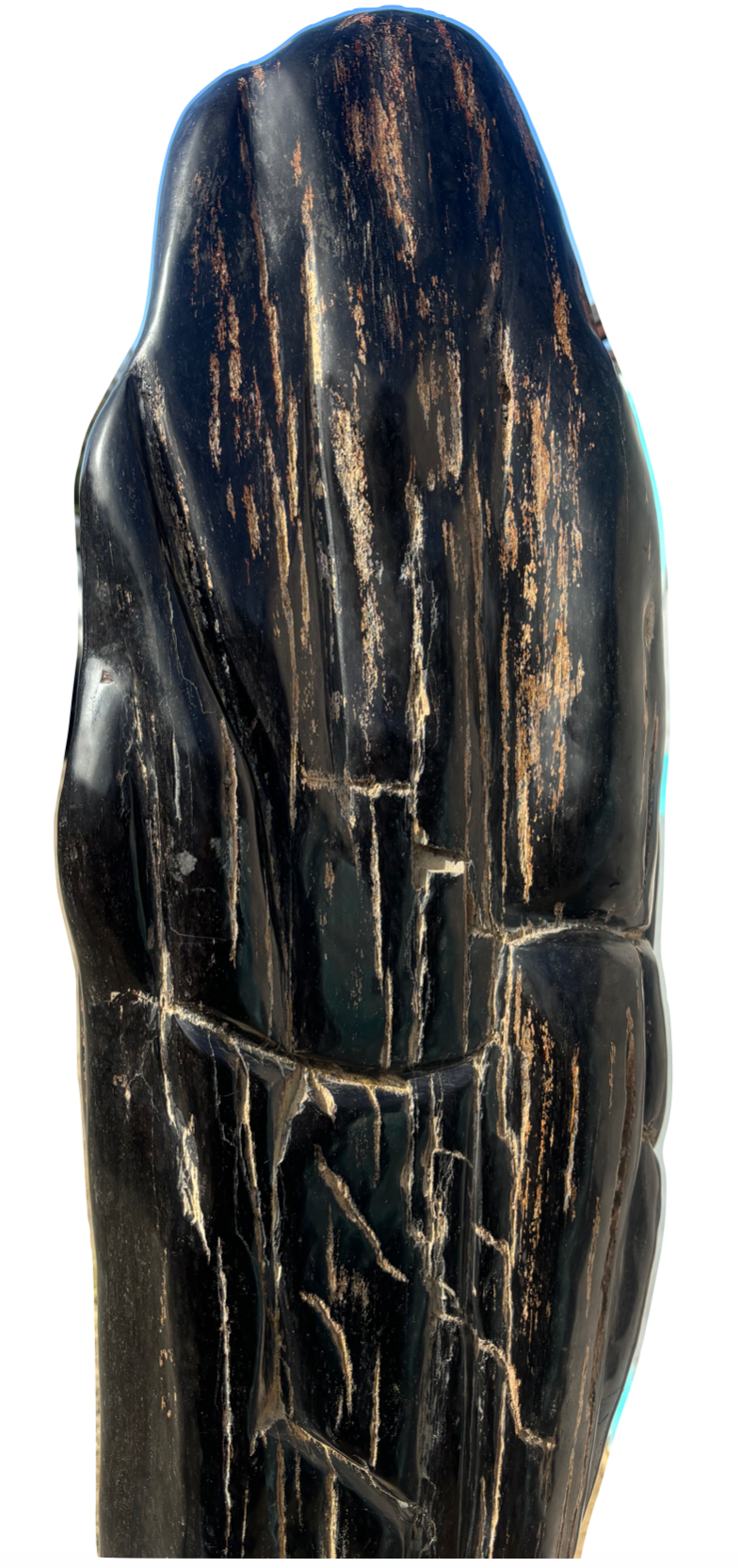 Sculpture of Petrified Wood