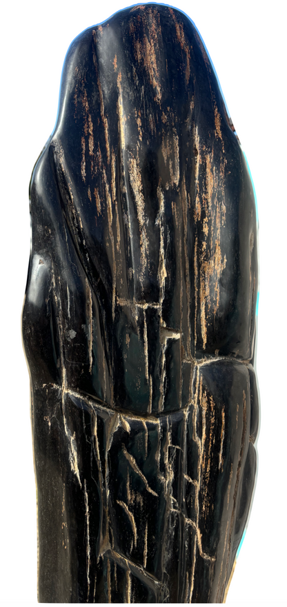 Sculpture of Petrified Wood