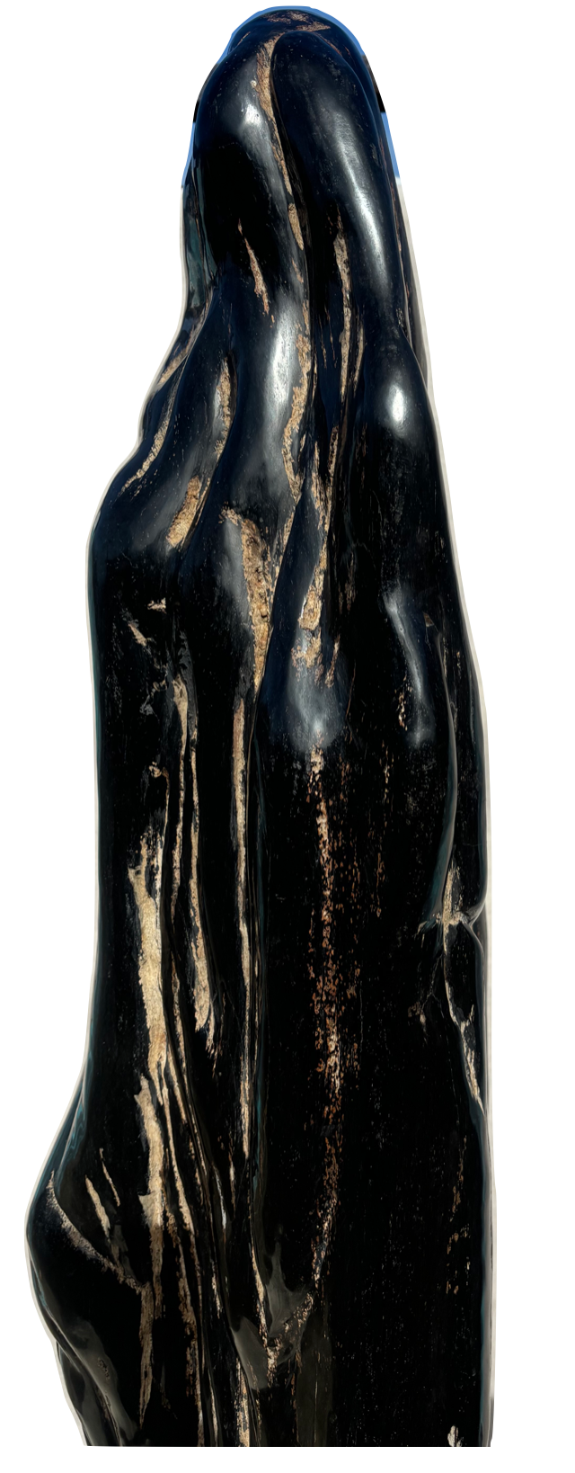 Sculpture of Petrified Wood