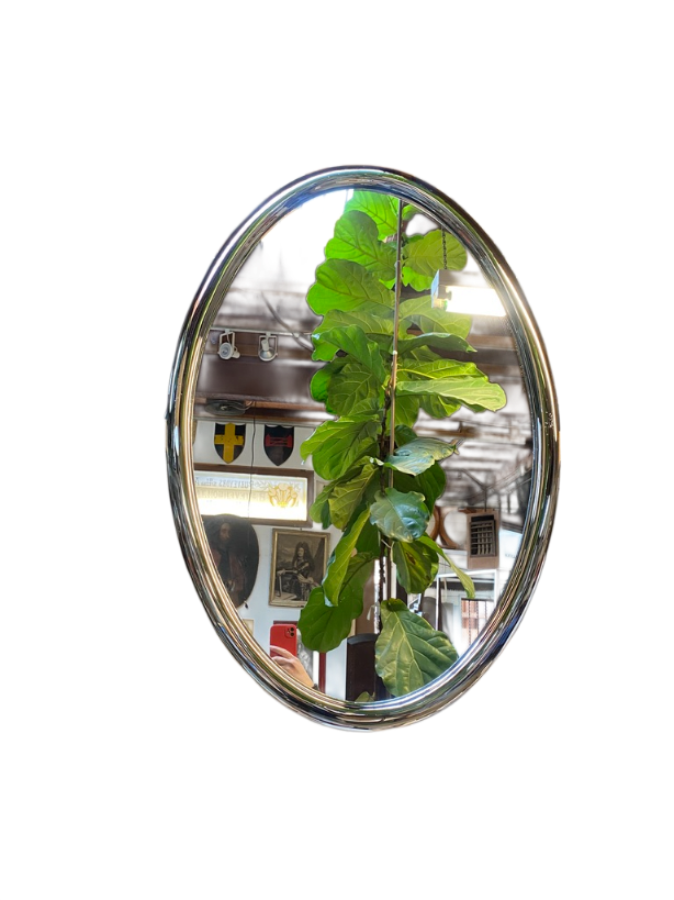 Futuristic Chrome Oval Wall Mirror