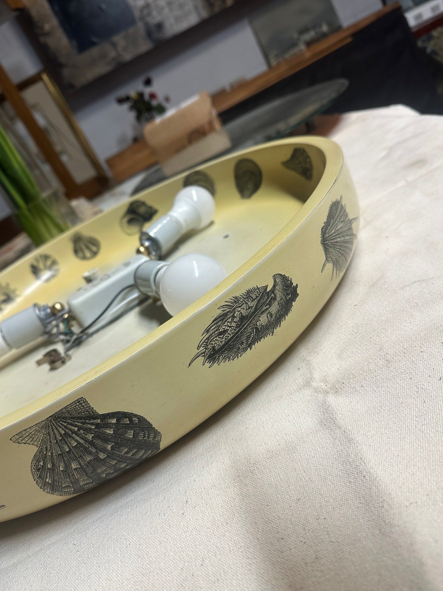 1960s Italian Backlit Wall Mirror with Shell Motif by Fornasetti