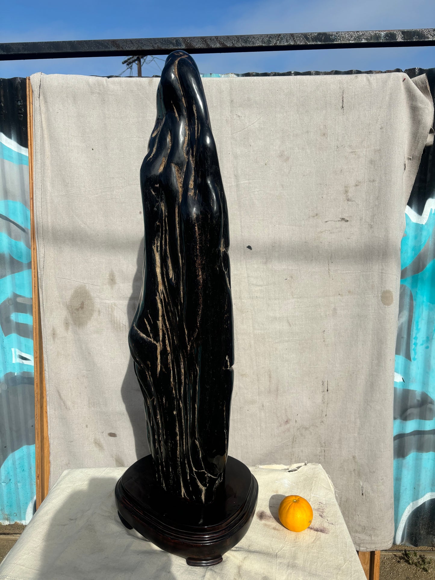 Sculpture of Petrified Wood