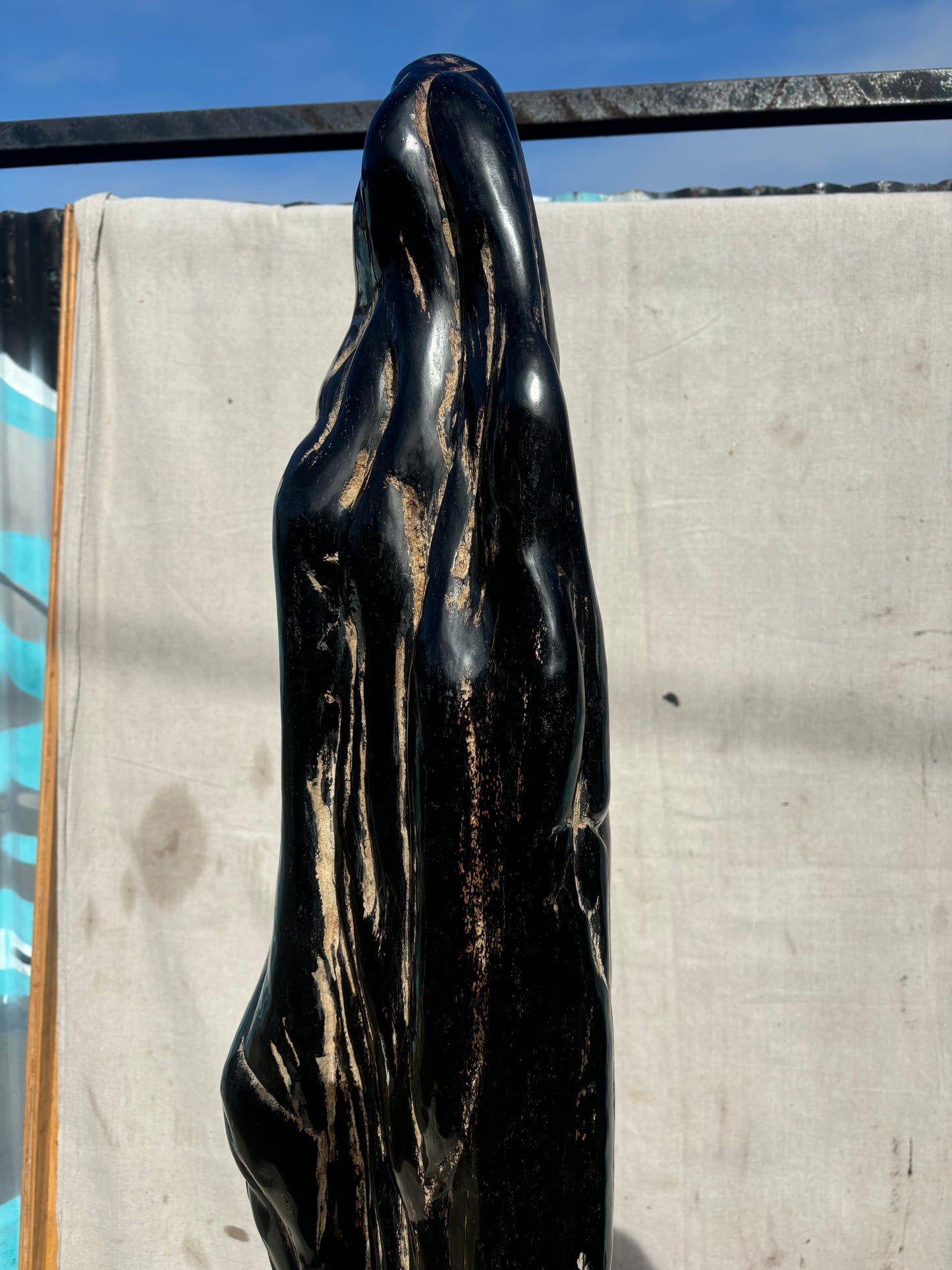 Sculpture of Petrified Wood