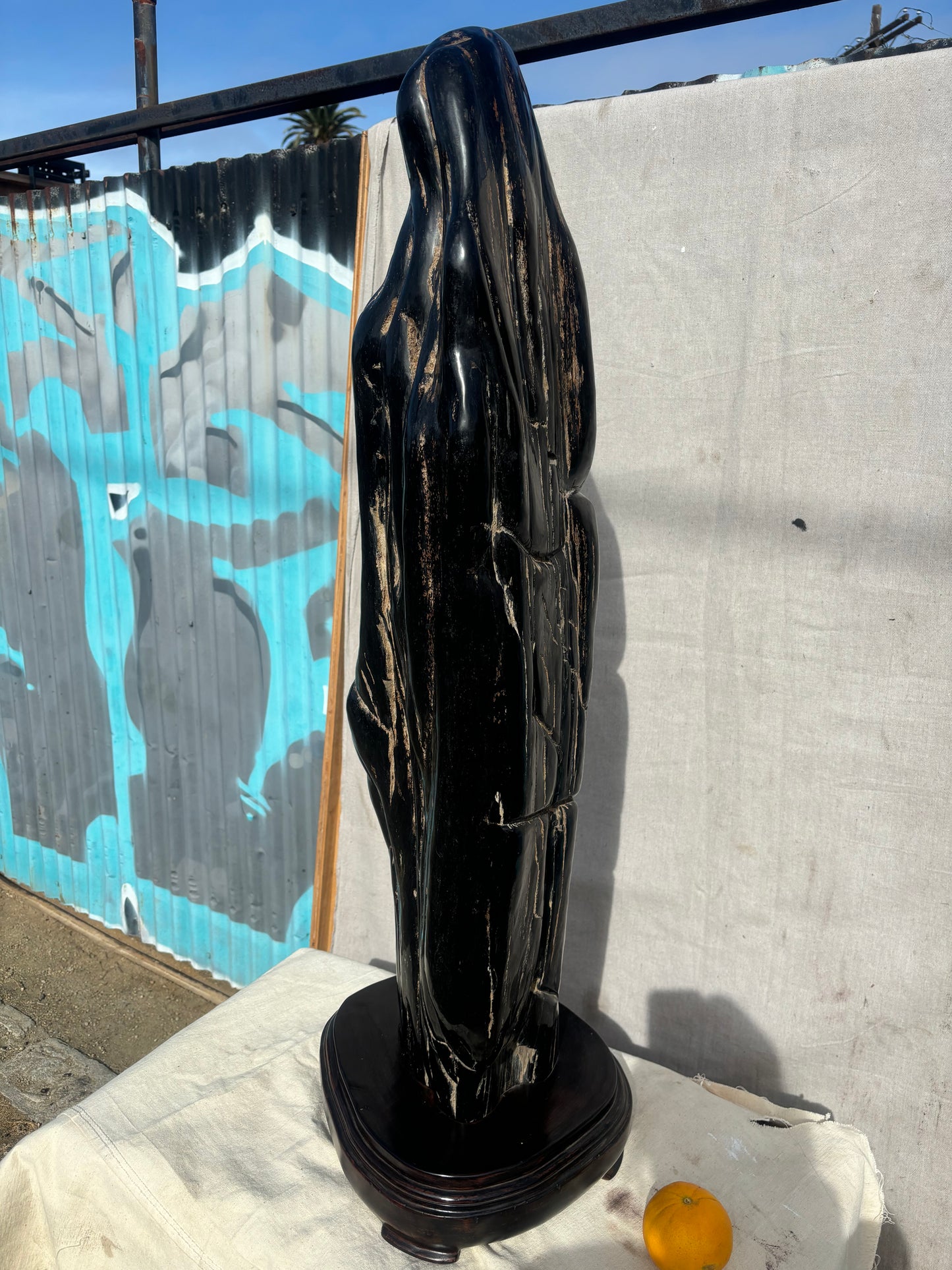 Sculpture of Petrified Wood