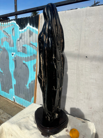 Sculpture of Petrified Wood