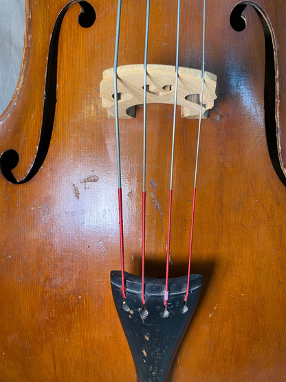 German Carved Round Back Upright Bass Guitar