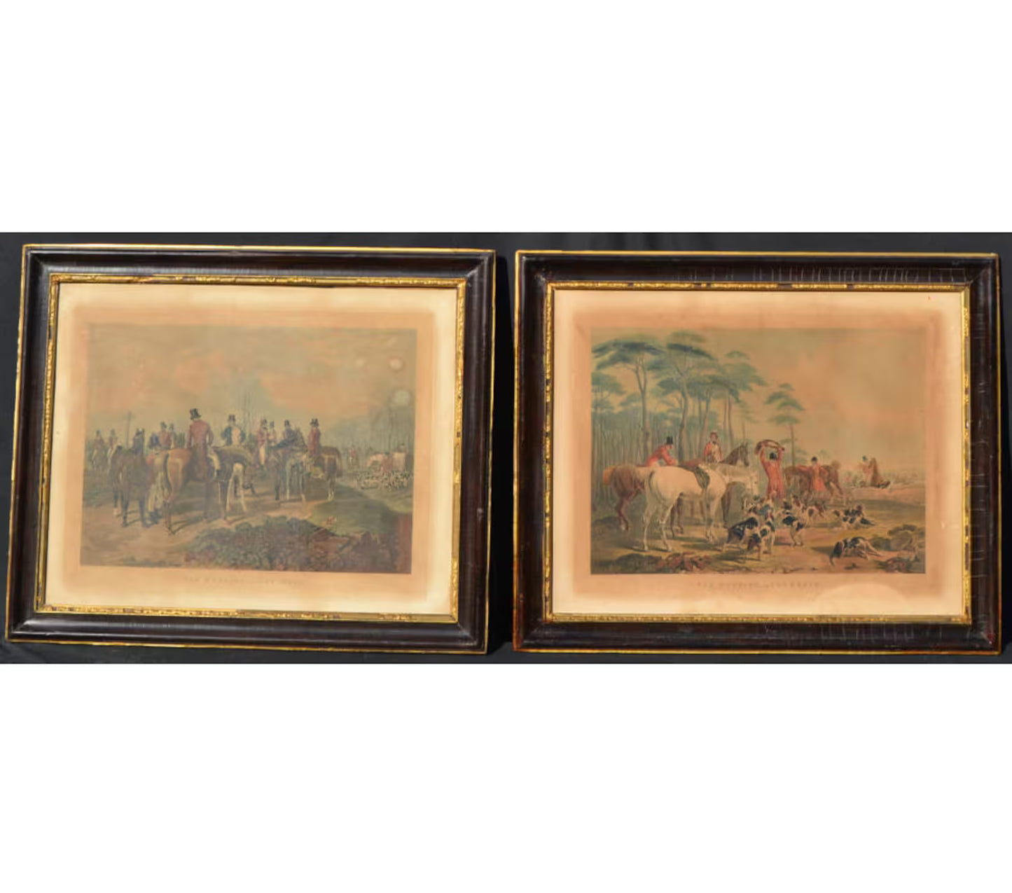 Fox Hunt - The Meet and The Death, pair